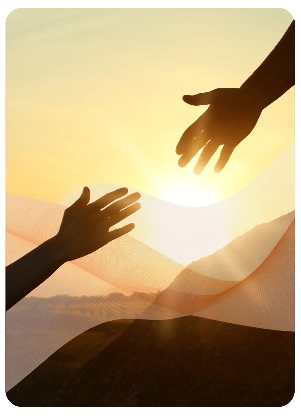 Offer Section Offer Section